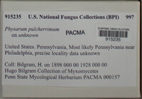 Image Associated With the Occurence